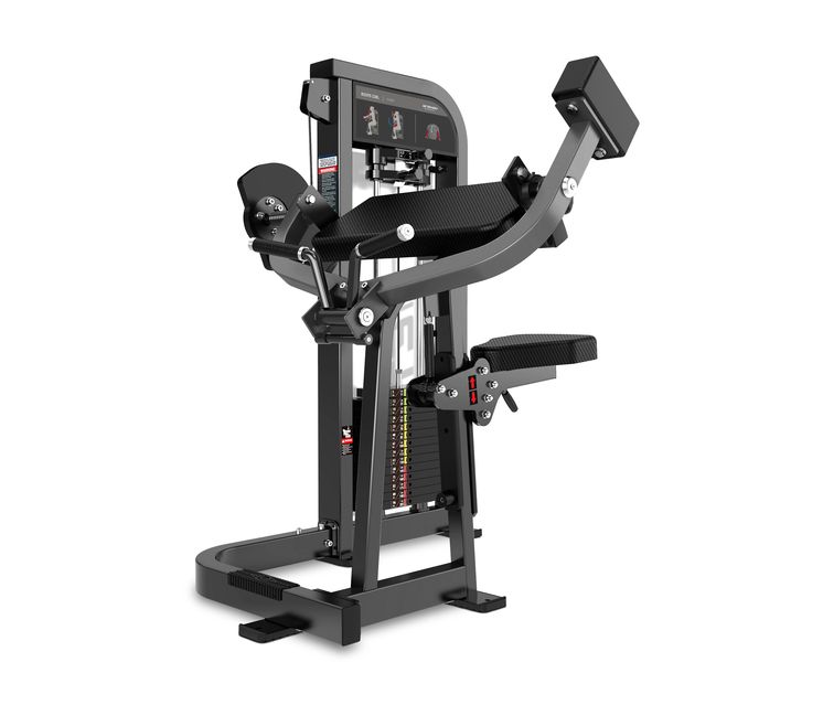 CURL DE BICEPS/BICEPS CURL