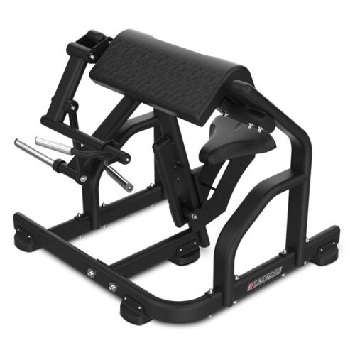 CURL DE BICEPS/BICEPS CURL