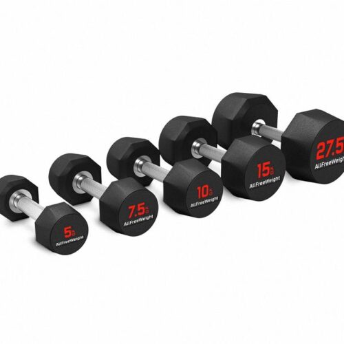 442701-60 MANCUERNAS PAIK 60KG PVC (PAR) AFW