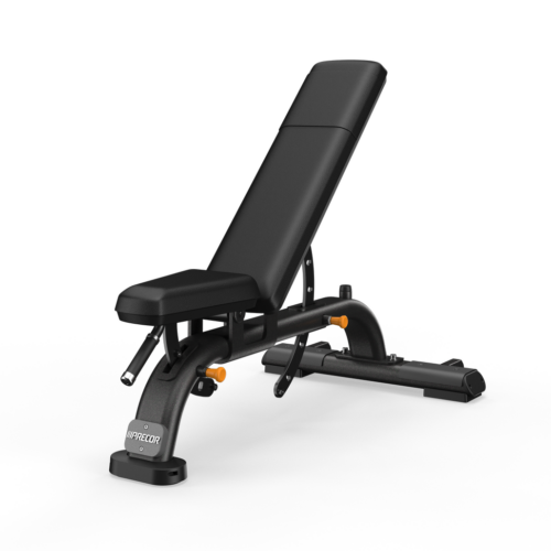 Discovery Multi-Adjustable Bench DBR0119