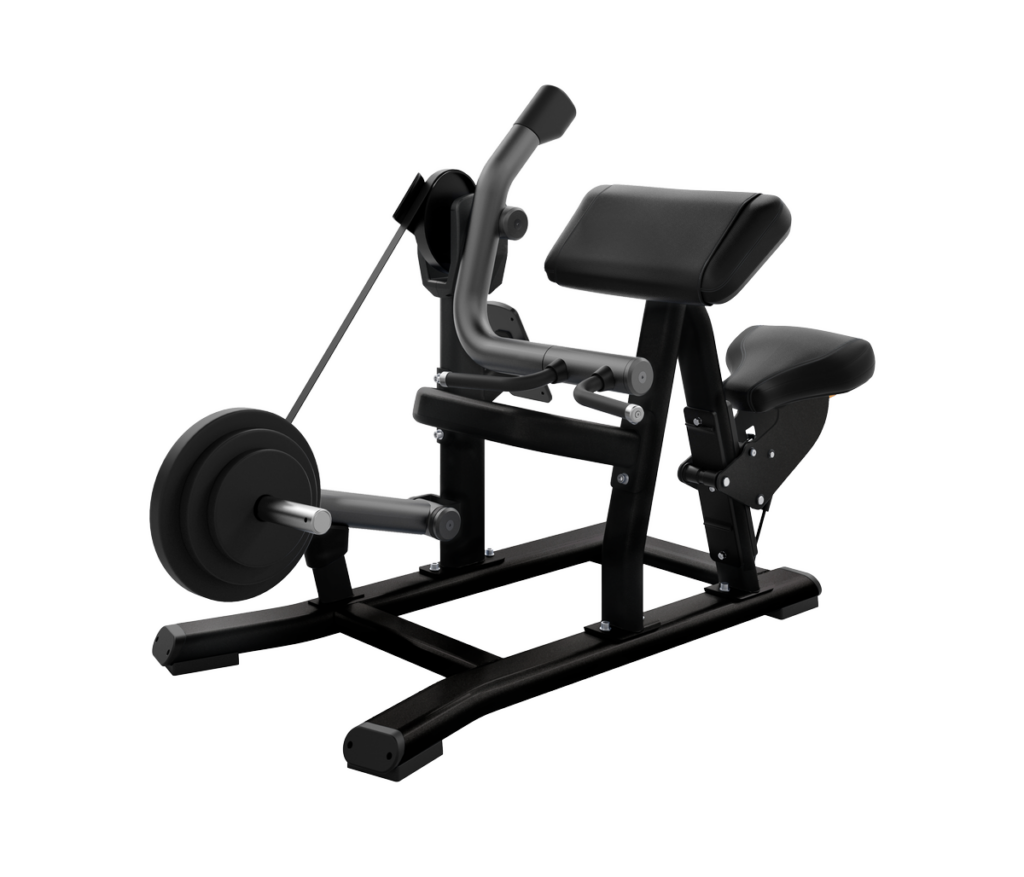 Discovery Flexion de Biceps DPL0520