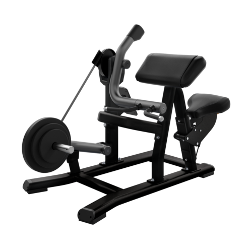 Discovery Flexion de Biceps DPL0520
