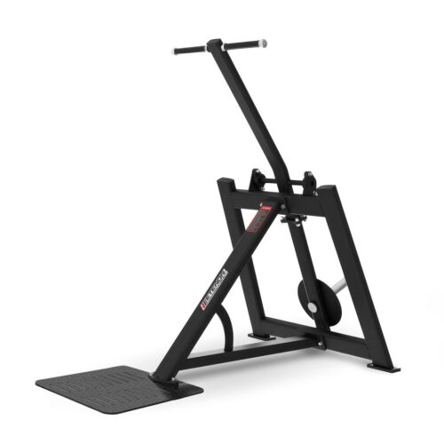 Extensión de Triceps de Pie